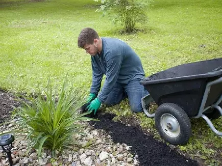 picture of a lawn care service worker applying mulch to a landscape bed